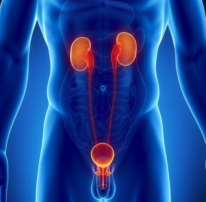 quelles maladies chroniques peuvent affecter la puissance masculine